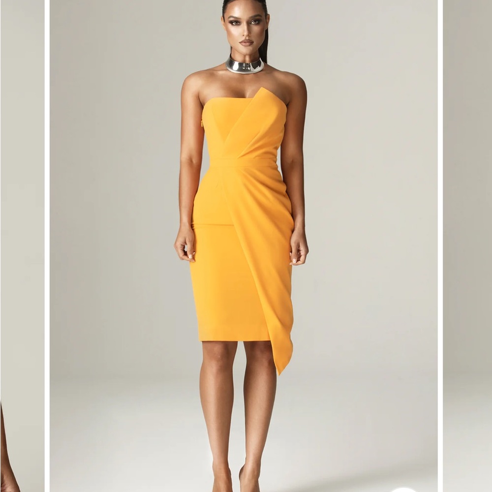Alieva Eliana Crepe Corset Dress - Tags attached!